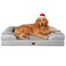 Best Bed for Senior Dogs