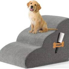 Best Bed Ramp for Small Elderly Dog