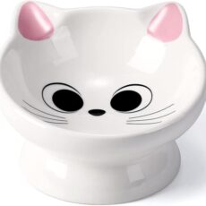 Best Bowl for Cat Food