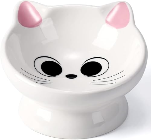 Best Bowl for Cat Food