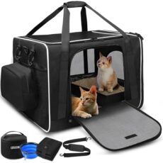 Best Cat Carrier for Long Distance Car Travel