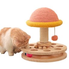 Best Cat Toys for Older Cats​