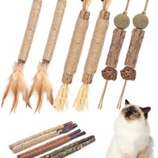 Best Chew Toys for Cats