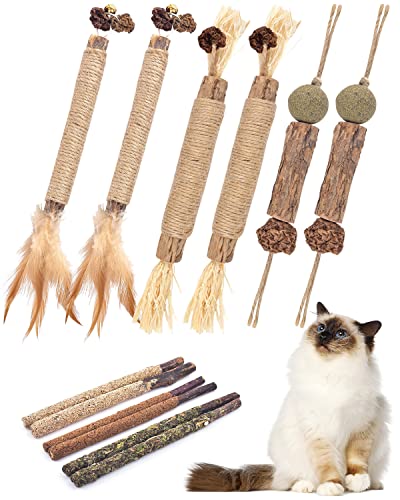 Best Chew Toys for Cats