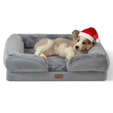 Best Dog Bed for Older Dogs