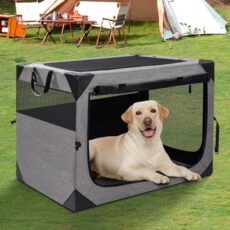 Best Dog Crates for Car Travel