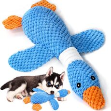 Best Dog Toys for Aggressive Chewers