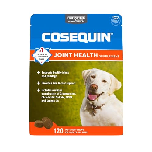 Best Joint Health Supplement for Dogs