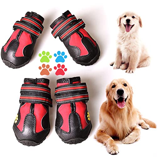 Dog Water Shoes