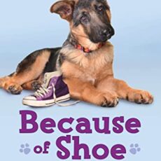 Shoe Dog Book