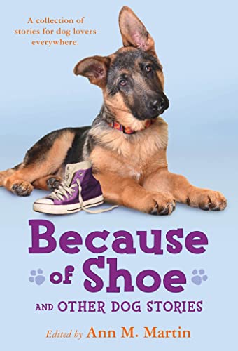 Shoe Dog Book