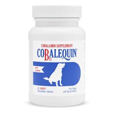 Vitamin B12 for Dogs