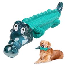 What Color Toys are Best for Dogs