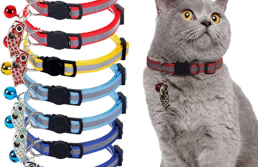 Best Breakaway Cat Collars: Safe, Stylish, and Reflective Options for Cats