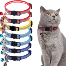 Best Breakaway Cat Collars: Safe, Stylish, and Reflective Options for Cats