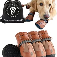 Best Dog Booties