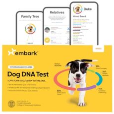 Best Dog Genetic Testing