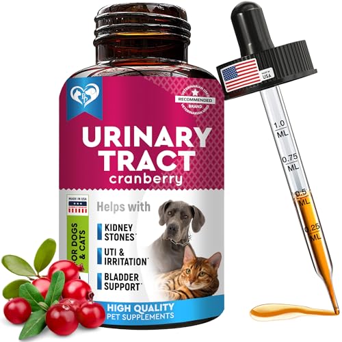 Best Over the Counter Cat Uti Medicine