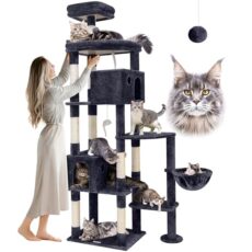 Cat Tree