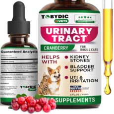 Cat Uti Medicine