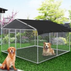 Dog Kennel Outdoor