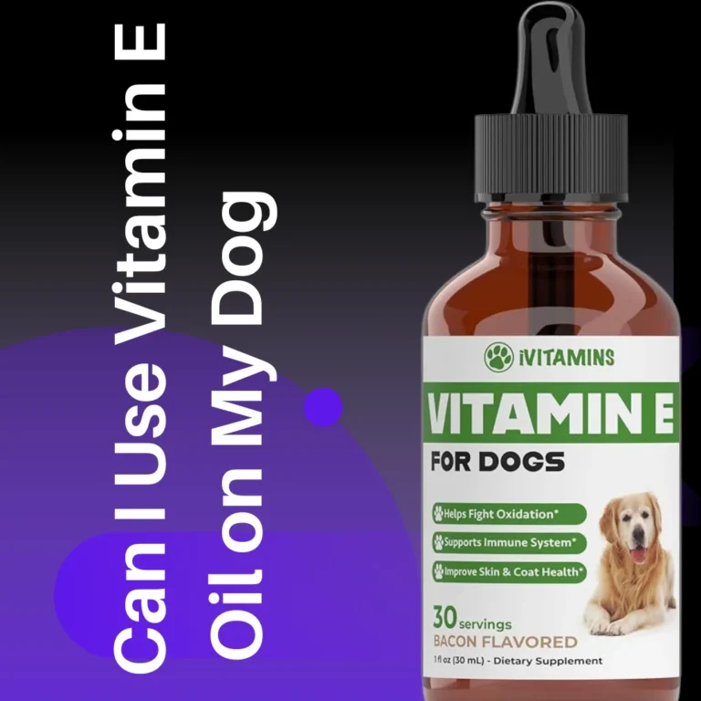 Can I Use Vitamin E Oil on My Dog