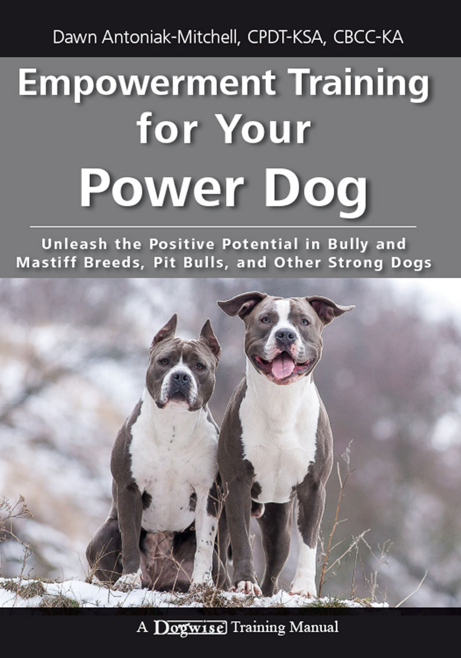 Dog Training Hunting: Unleash Your Dog's Full Potential