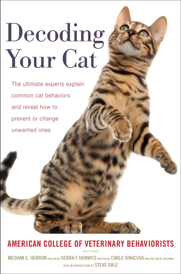 How to Train Your Cat to Come to You: Expert Tips Revealed
