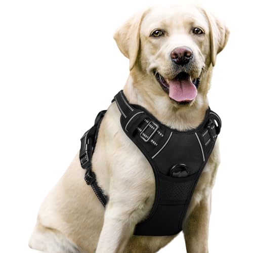 Durable Dog Harness And Leash